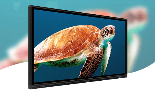 IQTouch L01 ინტერაქტიული დისპლეი 1