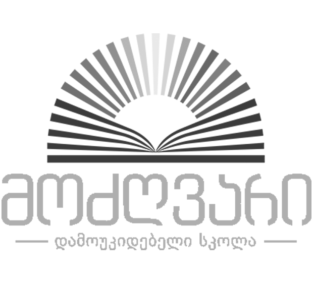 ელექტრონული ჟურნალი 30