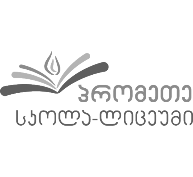 ელექტრონული ჟურნალი 17