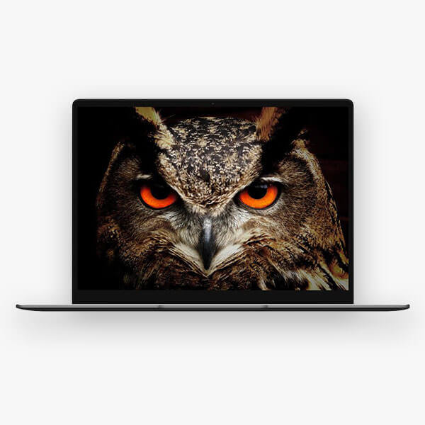 ნოუთბუქი CHUWI CoreBook X 14 inch Intel Core i5 2K 16GB DDR4 RAM + 256GB SSD
